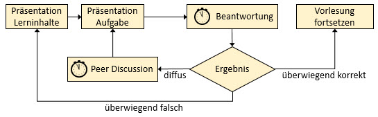 Ablaufschema zum Peer Review nach Mazur 1997
